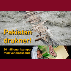 Pakistan drukner